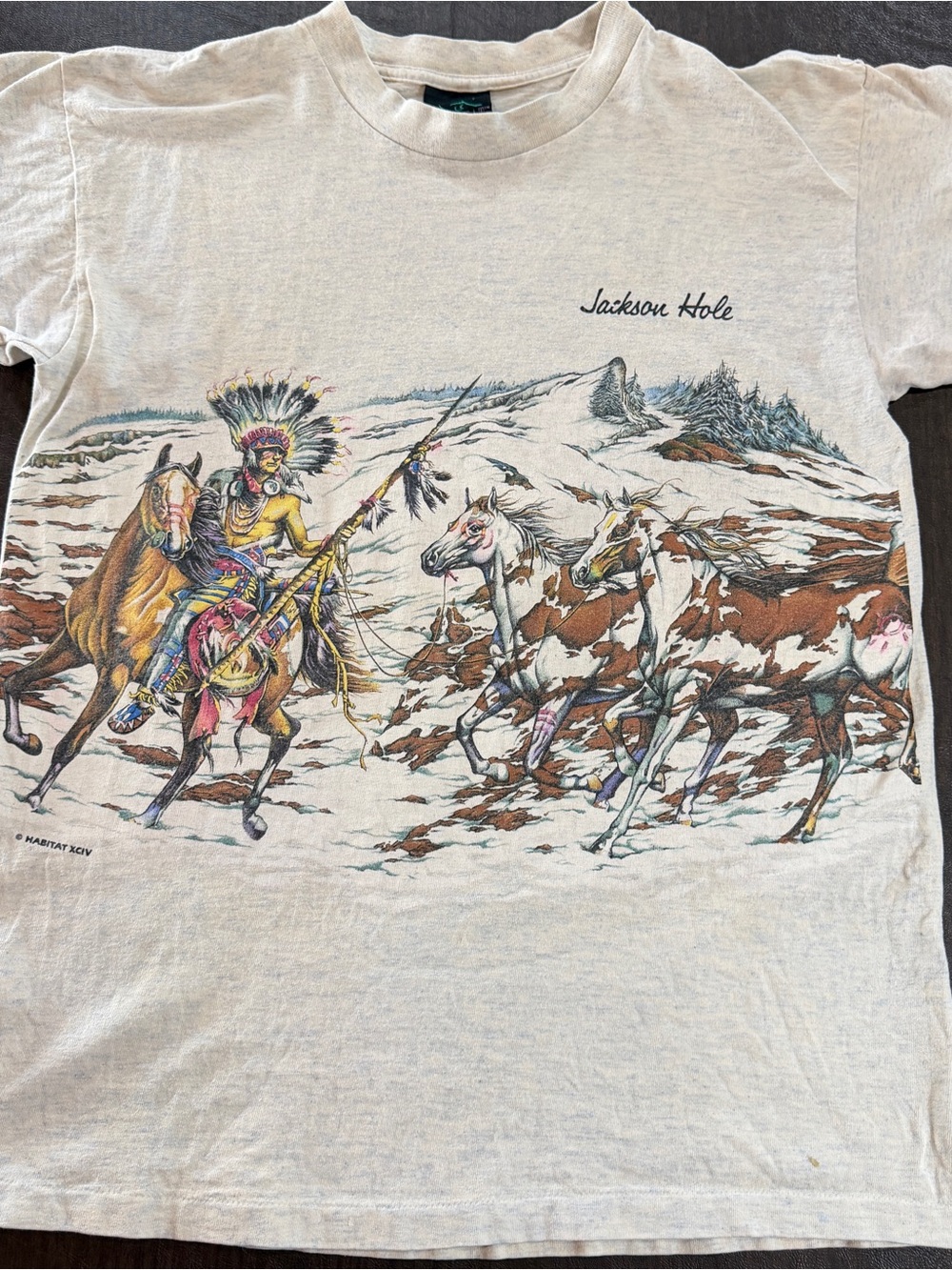 Habitat Jackson Hole Graphic Tee Native Americans and Horses Sz M 100% Cotton
